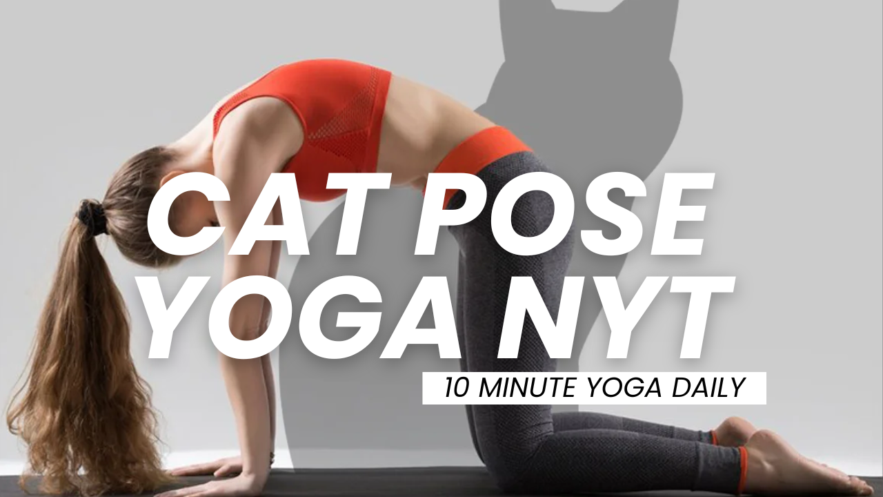 Cat Pose Yoga NYT