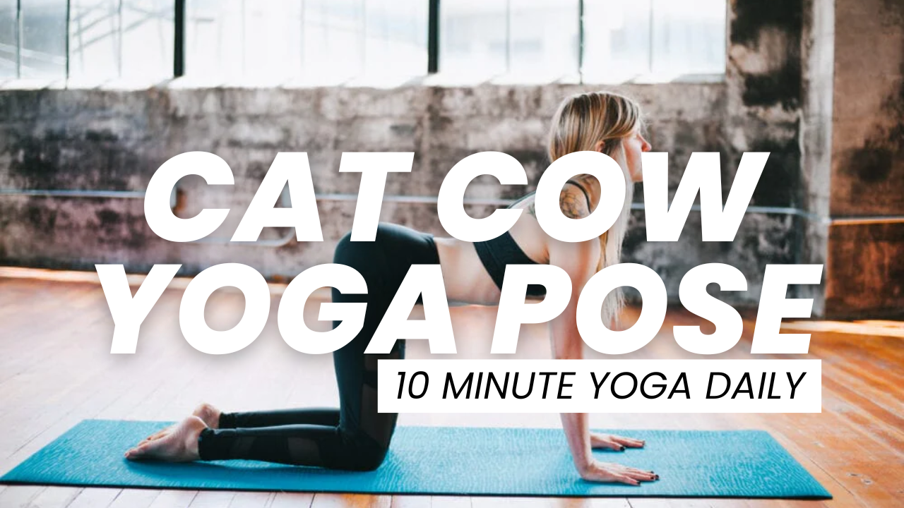 Cat Cow Yoga Pose