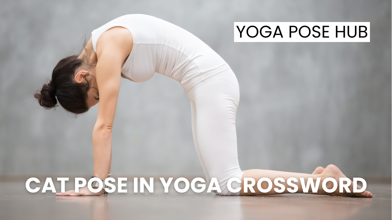 Cat Pose in Yoga Crossword