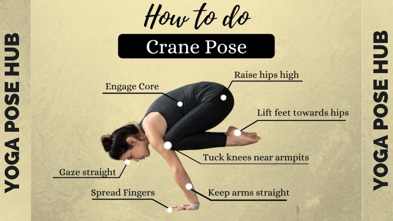 Crane Yoga Pose