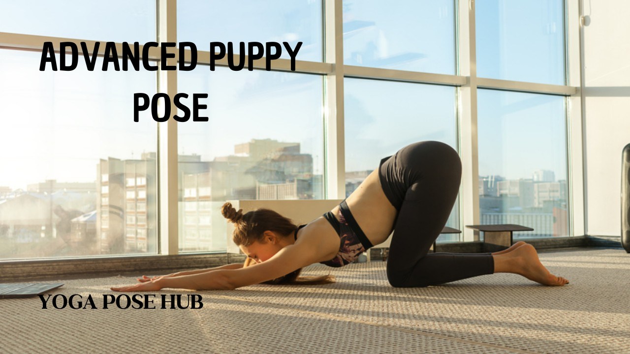 Advanced Puppy Pose