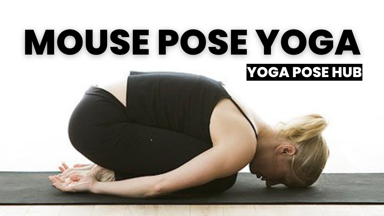 Mouse Pose Yoga