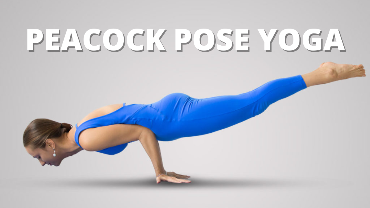 Peacock Pose Yoga