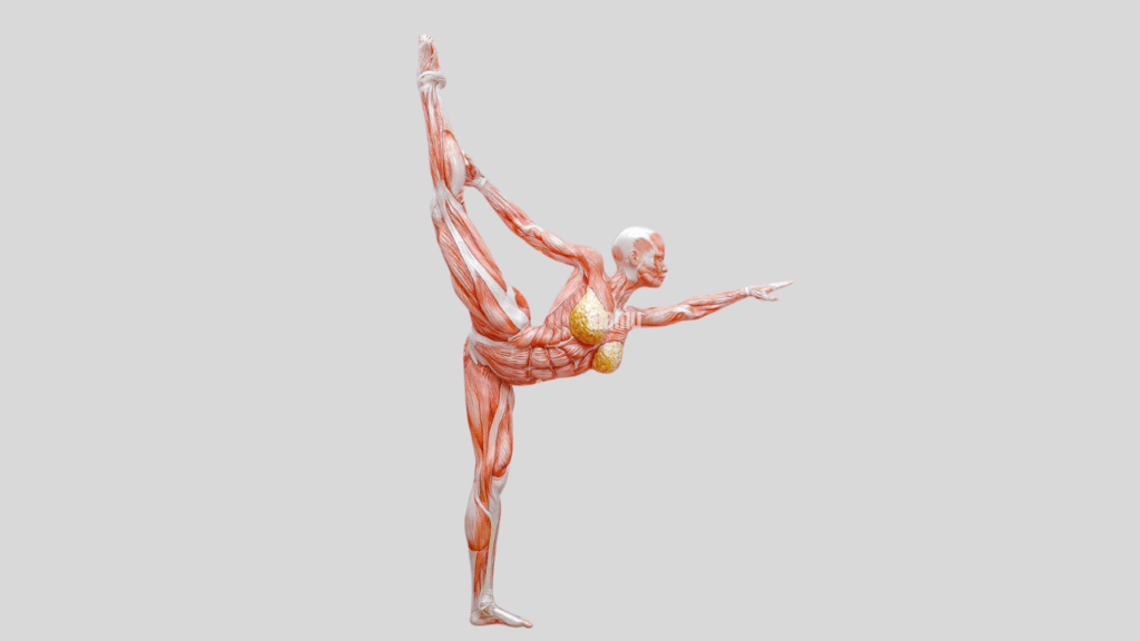 Standing Bow Pose